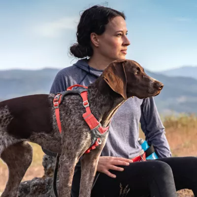 Product Kurgo® Journey Air Dog Harness