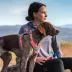 Kurgo® Journey Air Dog Harness image thumbnail 5