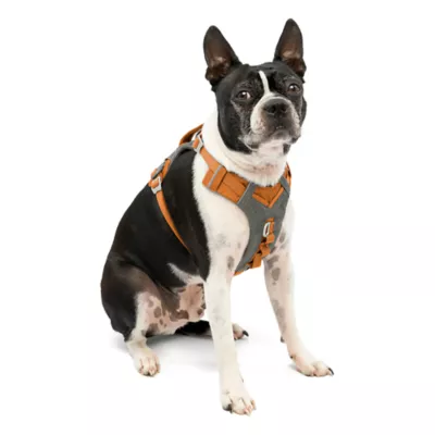 Product Kurgo Journey Air Dog Harness