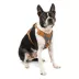 Kurgo® Journey Air Dog Harness image thumbnail 1