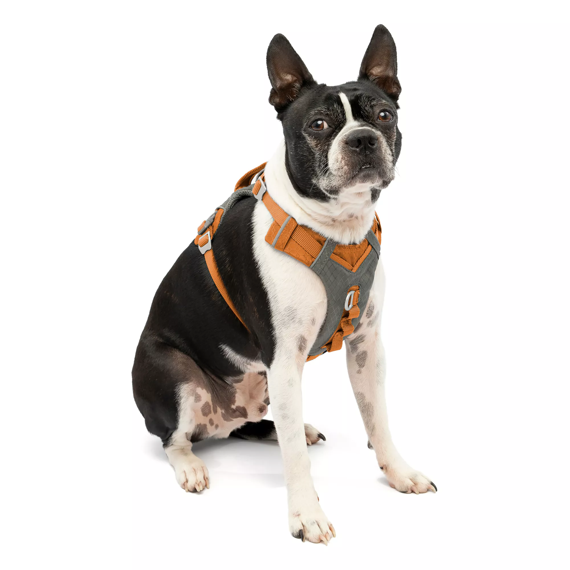 Kurgo Journey Air Dog Harness