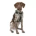 Kurgo® Journey Air Dog Harness image thumbnail 1