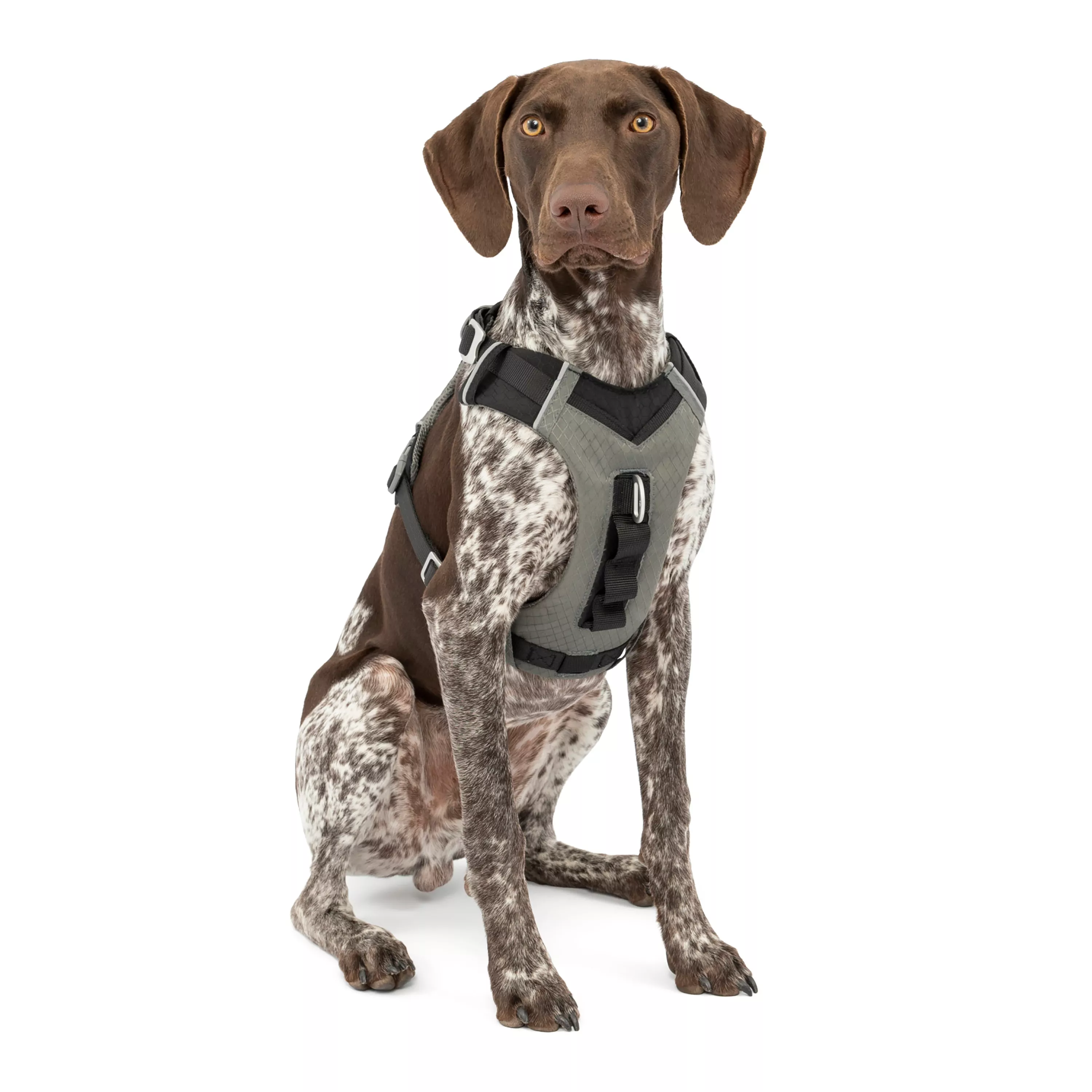 Kurgo Journey Air Dog Harness