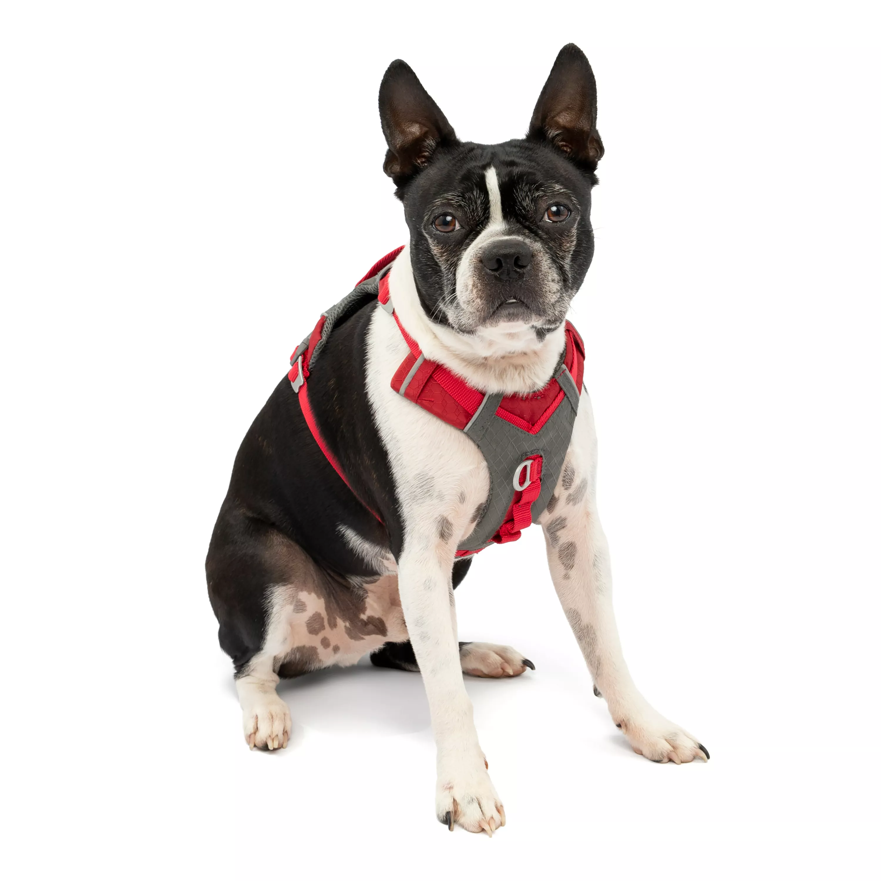 Kurgo Journey Air Dog Harness