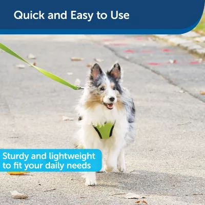 Product PetSafe®  Nylon Dog Leash, 6 Ft