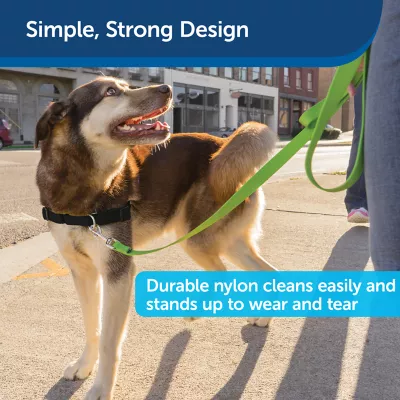 Product PetSafe®  Nylon Dog Leash, 6 Ft