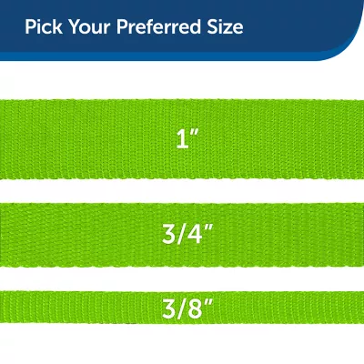 Product PetSafe®  Nylon Dog Leash, 6 Ft