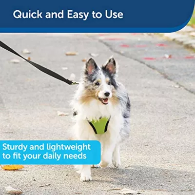 Product PetSafe®  Nylon Dog Leash, 6 Ft