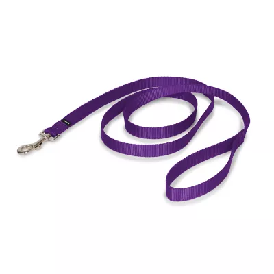 PetSafe®  Nylon Dog Leash, 6 Ft - Image 1
