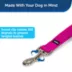 PetSafe®  Nylon Dog Leash, 6 Ft image thumbnail 2