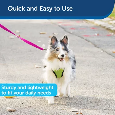Product PetSafe®  Nylon Dog Leash, 6 Ft