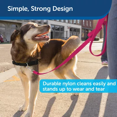 Product PetSafe®  Nylon Dog Leash, 6 Ft