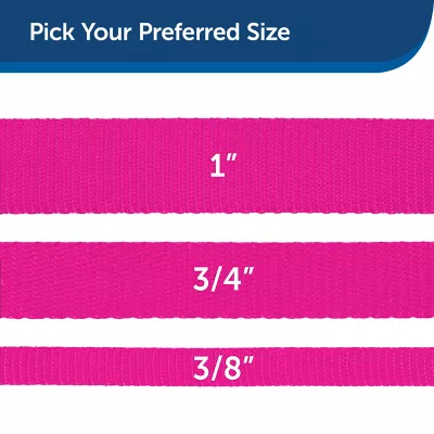 Product PetSafe®  Nylon Dog Leash, 6 Ft
