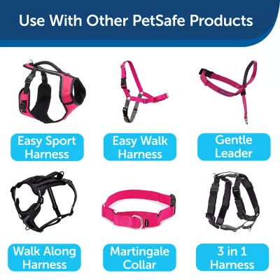 Product PetSafe®  Nylon Dog Leash, 6 Ft