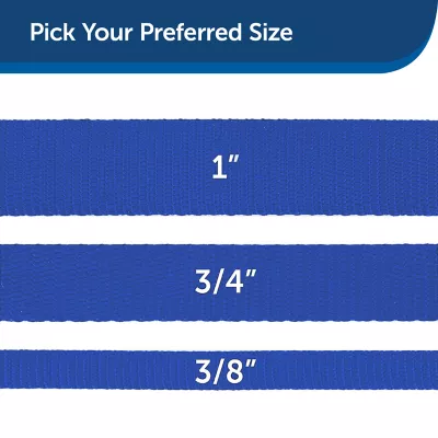 Product PetSafe®  Nylon Dog Leash