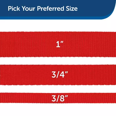 Product PetSafe®  Nylon Dog Leash, 6 Ft