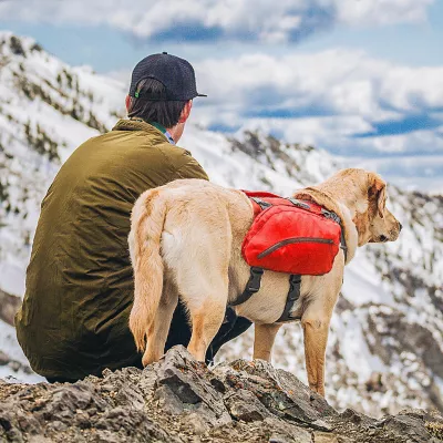 Product Kurgo® Baxter Dog Backpack