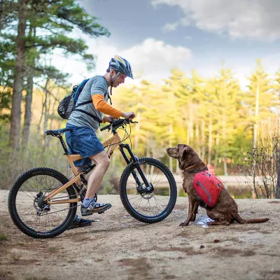 Product Kurgo® Baxter Dog Backpack