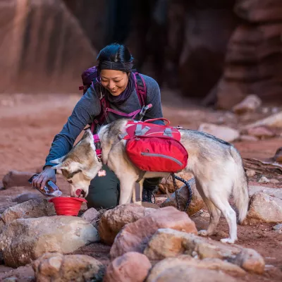 Product Kurgo® Baxter Dog Backpack
