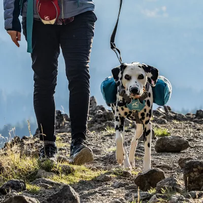 Kurgo® Baxter Dog Backpack - Image 5