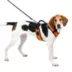 PetSafe® EasySport Nylon Reflective Dog Harness image thumbnail 1
