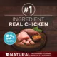 Product ONE True Instinct Puppy Food Chicken Duck
