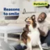 PetSafe® Martingale 1" Nylon Dog Collar image thumbnail 2