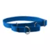 PetSafe® Martingale 1" Nylon Dog Collar image thumbnail 1