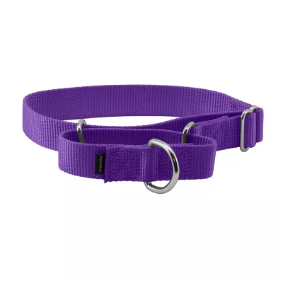 PetSafe® Martingale 1" Nylon Dog Collar - Image 1