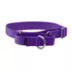 PetSafe® Martingale 1" Nylon Dog Collar image thumbnail 1