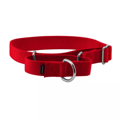 Product PetSafe® Martingale 1" Nylon Dog Collar