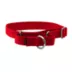 PetSafe® Martingale 1" Nylon Dog Collar image thumbnail 1