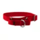 Product PetSafe® Martingale 1" Nylon Dog Collar