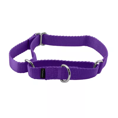 PetSafe® Martingale 3/4" Nylon Dog Collar - Image 1