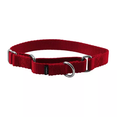 PetSafe® Martingale 3/4" Nylon Dog Collar - Image 1