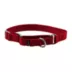 PetSafe® Martingale 3/4" Nylon Dog Collar image thumbnail 1