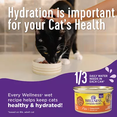 Product Wellness Cat - Variety Pack, 12 CT, 36 OZ