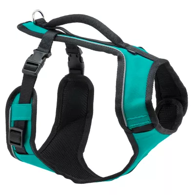 PetSafe® EasySport Nylon Reflective Dog Harness - Image 1