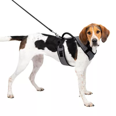 PetSafe® EasySport Nylon Reflective Dog Harness - Image 1