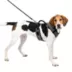 PetSafe® EasySport Nylon Reflective Dog Harness image thumbnail 1