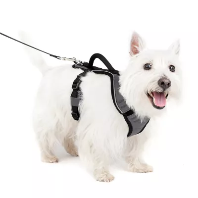 Product PetSafe® EasySport Nylon Reflective Dog Harness