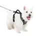 PetSafe® EasySport Nylon Reflective Dog Harness image thumbnail 1