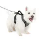 Product PetSafe® EasySport Nylon Reflective Dog Harness