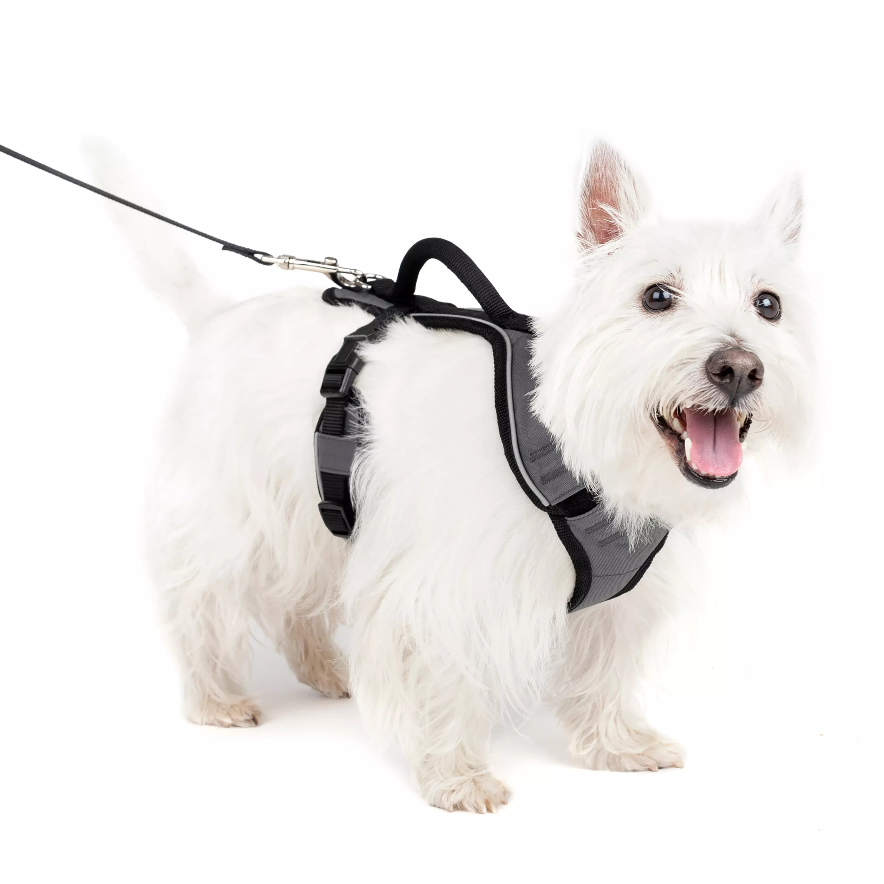 PetSafe® EasySport Nylon Reflective Dog Harness