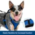 PetSafe® EasySport Nylon Reflective Dog Harness image thumbnail 2