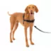 PetSafe® Easy Walk Dog Harness, No Pull Dog Harness, Multiple Sizes & Colors image thumbnail 1