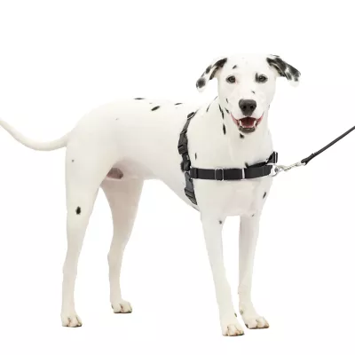 PetSafe® Easy Walk Dog Harness, No Pull Dog Harness, Multiple Sizes & Colors - Image 1
