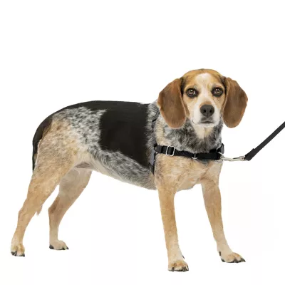 Product PetSafe® Easy Walk Harness, No Pull Dog Harness