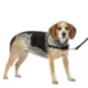 Product PetSafe® Easy Walk Harness, No Pull Dog Harness