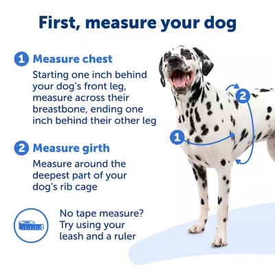 Product PetSafe® Easy Walk Harness, No Pull Dog Harness